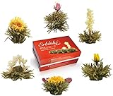 Creano Teeblumen Mix – Geschenkset „ErblühTee“ mit Glaskanne Weißtee (6 verschiedene Sorten) - 7