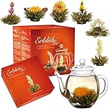 Creano Teeblumen Mix – Geschenkset „ErblühTee“ mit Glaskanne Weißtee (6 verschiedene Sorten) - 10